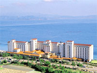 �G�[�X�i�s�a�F���l�b�T���X���]�[�g�i���g